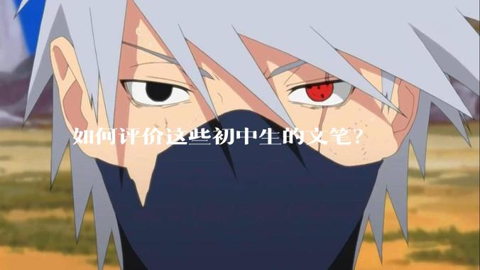 如何评价这些初中生的文笔？
